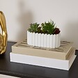 ATMOSPHERA - Plante artificielle Wida 12 cm avec Pot Blanc - vignette