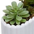 ATMOSPHERA - Plante artificielle Wida 12 cm avec Pot Blanc - vignette