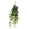ATMOSPHERA - Tige tombante artificielle de lierre "Tria" H85cm vert - vignette