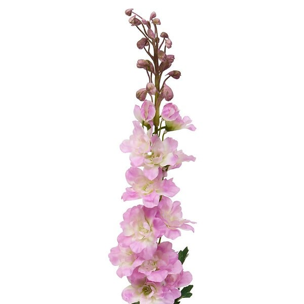 ATMOSPHERA - Tige Delphinium Artificielle Phoebe H79 cm Rose - large