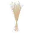 ATMOSPHERA - Bouquet de plantes séchées H78 cm - Blanc - vignette