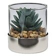 ATMOSPHERA - Terrarium Sky 8,5x8cm - vignette