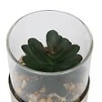 ATMOSPHERA - Terrarium Sky 8,5x8cm - vignette