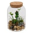 ATMOSPHERA - Terrarium Ady H12,5cm vert - vignette