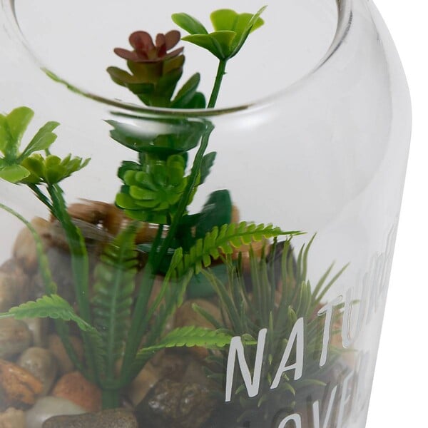 ATMOSPHERA - Terrarium Ady H12,5cm vert - large
