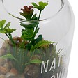 ATMOSPHERA - Terrarium Ady H12,5cm vert - vignette