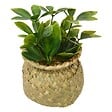 ATMOSPHERA - Plante artificielle en pot Jil 10x10cm - vignette
