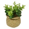 ATMOSPHERA - Plante artificielle en pot Jil 10x10cm - vignette