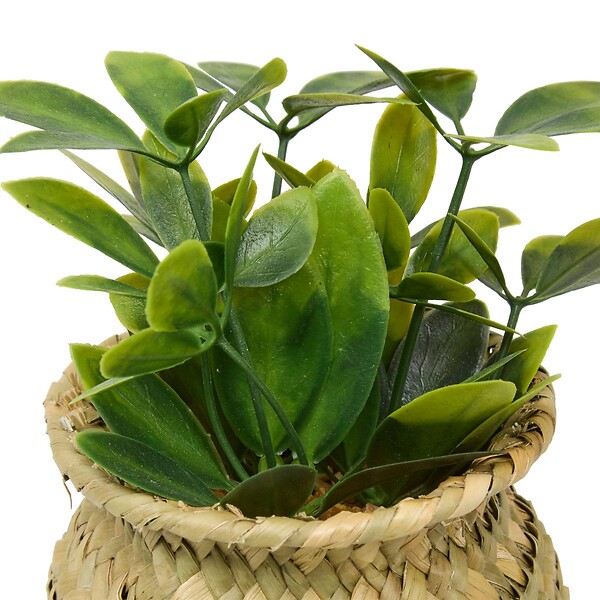 ATMOSPHERA - Plante artificielle en pot Jil 10x10cm - large
