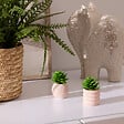 ATMOSPHERA - Plante artificielle petit format "Ubi" H7cm - vignette
