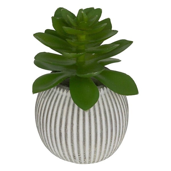 ATMOSPHERA - Plante artificielle petit format "Ubi" H7cm - large