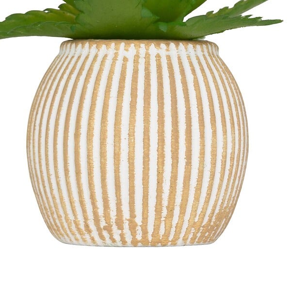 ATMOSPHERA - Plante artificielle petit format "Ubi" H7cm - large