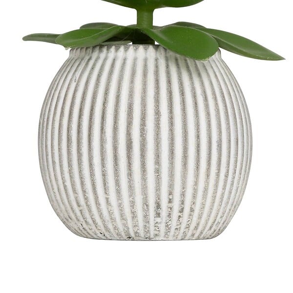 ATMOSPHERA - Plante artificielle petit format "Ubi" H7cm - large