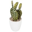 ATMOSPHERA - Plante succulente & cactus H18cm - vignette