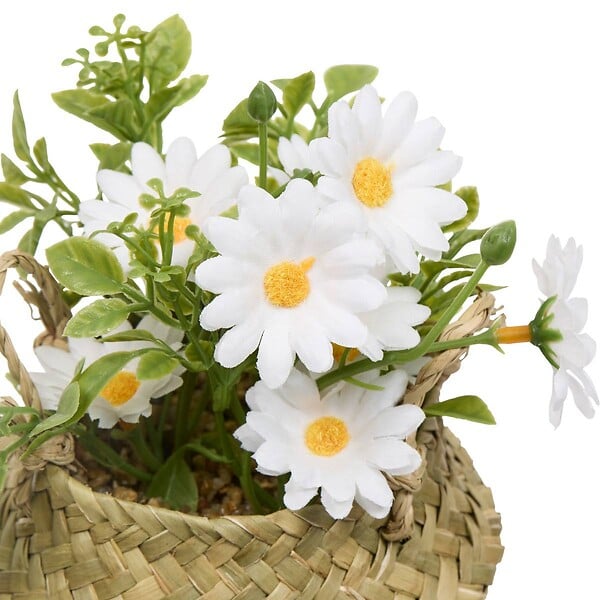 ATMOSPHERA - Composition de Marguerites Tifi H17cm - large