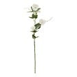 ATMOSPHERA - Tige Petunia Artificielle Phoebe H76 cm Blanche - vignette