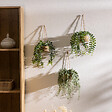 ATMOSPHERA - Plante artificielle suspendue "Patri" H47cm - vignette
