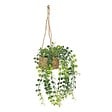 ATMOSPHERA - Plante artificielle suspendue "Patri" H47cm - vignette