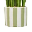 ATMOSPHERA - Plante artificielle Daura 47 cm - vignette