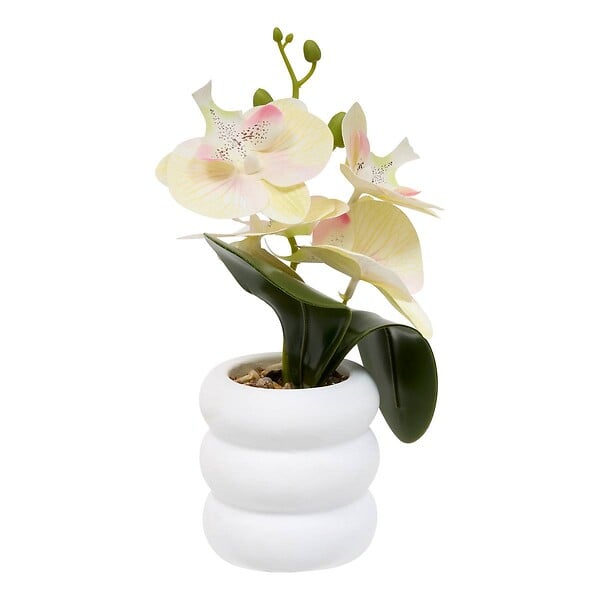 ATMOSPHERA - Fleur Artificielle Mick Orchidée H 23 cm - large