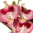 ATMOSPHERA - Fleur Artificielle Mick Orchidée H 23 cm - vignette