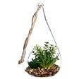 ATMOSPHERA - Plante artificielle suspendue pot ciment H19,5cm - vignette