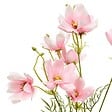 ATMOSPHERA - Fleur artificielle Phoebe Coreopsis H88 cm - vignette