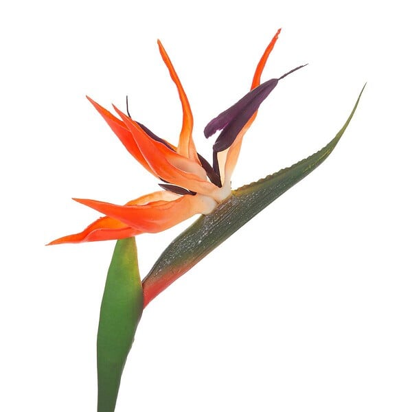 ATMOSPHERA - Tige d'oiseau du paradis artificielle H83cm - large