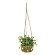 ATMOSPHERA - Rosier artificielle suspendue Musa 42 cm - vignette