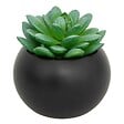 ATMOSPHERA - Plante grasse en pot H13 - vignette
