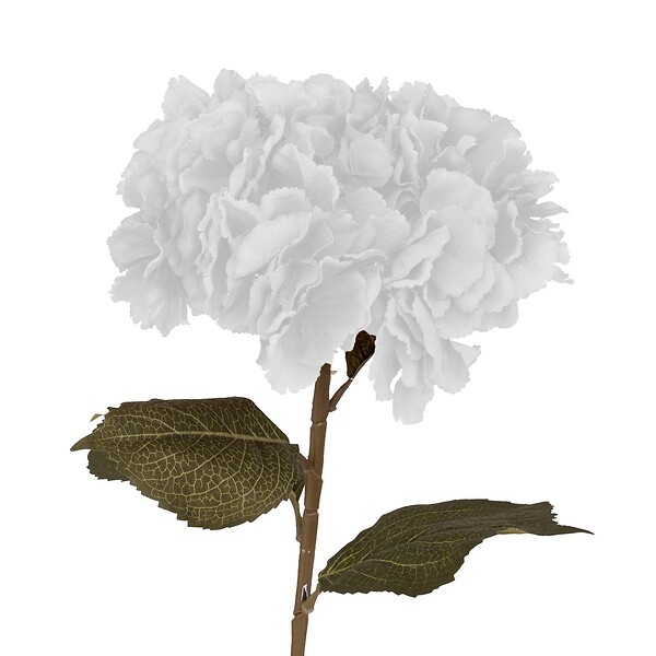 ATMOSPHERA - Tige d'hortensia artificiel blanc H83cm - large