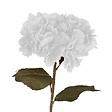 ATMOSPHERA - Tige d'hortensia artificiel blanc H83cm - vignette