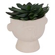 ATMOSPHERA - Plante artificielle "Dusty" H16cm - vignette
