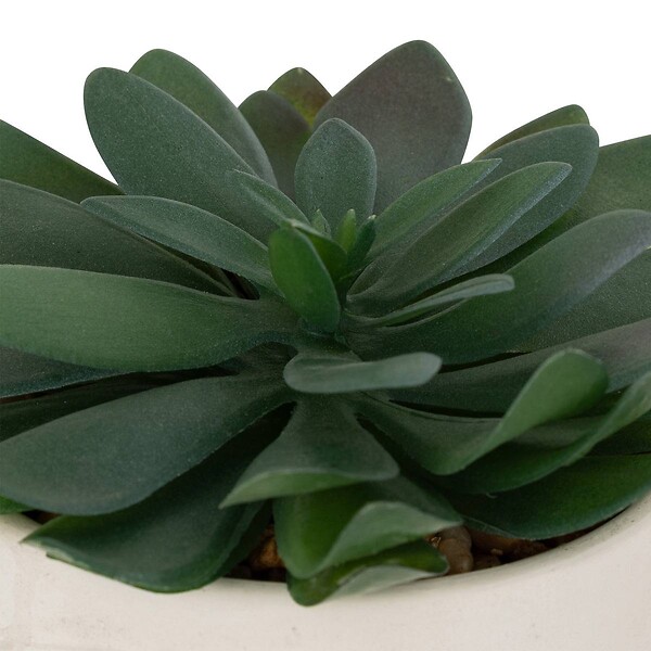 ATMOSPHERA - Plante artificielle "Dusty" H16cm - large