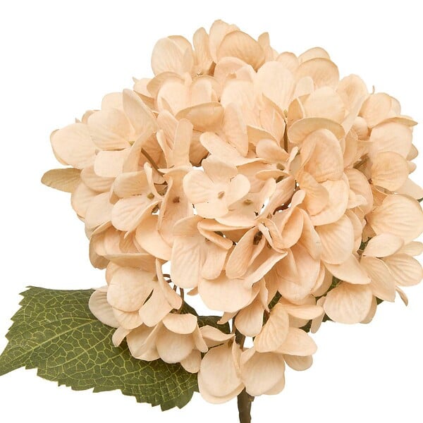 ATMOSPHERA - Fleur artificielle Fria H62cm - large