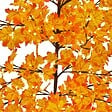 FEERIC LIGHTS & CHRISTMAS - Arbre orange lumineux extérieur 300 LED blanc chaud H.200cm - vignette