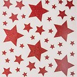 FEERIC LIGHTS & CHRISTMAS - Déco vitre pailleté étoile 30X32 - vignette