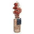ATMOSPHERA - Composition de Fleurs Séchées Vase en Verre H 28 cm - vignette