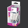 MODE DE VIE - Ampoule LED E27 Standard 40W Blanc froid Dépolie - vignette