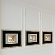 ORAC DECOR - Corniche Flexible Classique Aux Courbes Élégantes Cx123f - L200 X H8 X L8 - Orac Decor - vignette