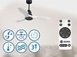 PURLINE - Ventilateur de plafond Réversible  Thermostat Wifi Moteur à courant continu Toits en pente Télécommande Hypersilence Mémoire Shopify Vendible (AUTOMATIQUE) - vignette
