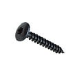 Vis penture torx acier zingué noir 6x30 t30 x100 - vignette