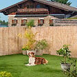 WINDHAGER - Canisse de PAILLON PELE 1,5x5m - vignette
