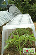 MODULO - Tunnel Modulo 40 - Lot de 3 - vignette