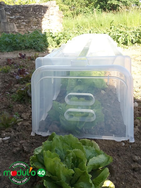 MODULO - Tunnel Modulo 40 - Lot de 3 - large