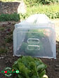 MODULO - Tunnel Modulo 40 - Lot de 3 - vignette