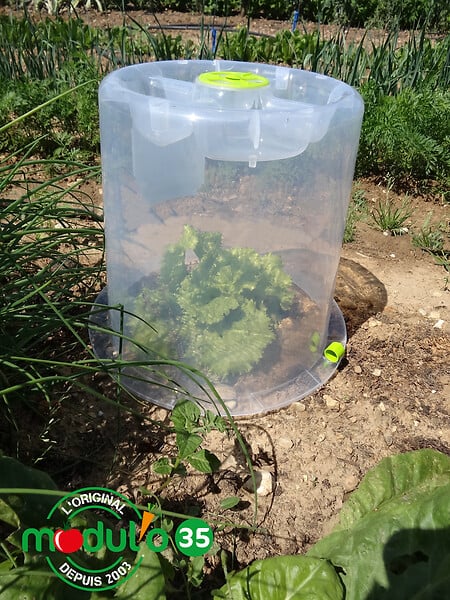 MODULO - Piquet pour cloches Modul'o - Lot de 10 - large