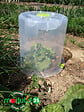 MODULO - Piquet pour cloches Modul'o - Lot de 10 - vignette