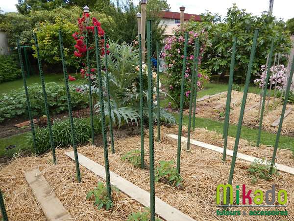 MIKADO - Tuteur Plastique 150cm Vert Jardin - large