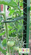 MIKADO - Sachet de 6 attaches tuteur Vert Jardin - vignette